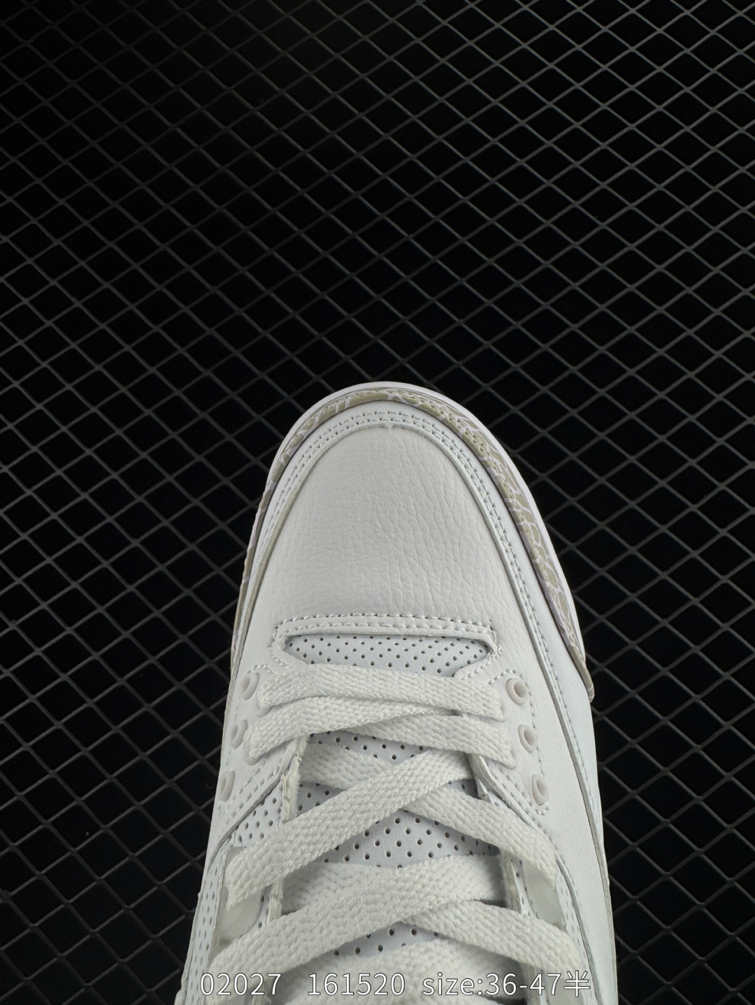 Nike Air Jordan 3 Retro SE